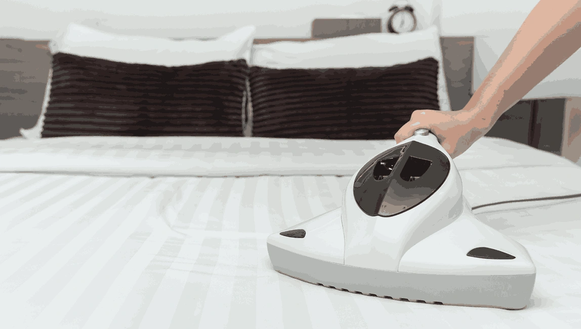 Professional Mattress Cleaning Kalorama